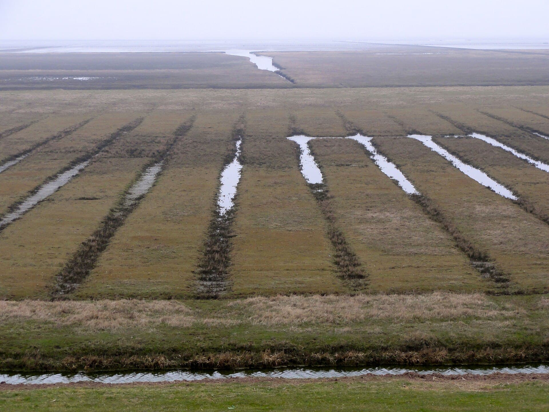 Vakantiepark Waddenweelde Groningen