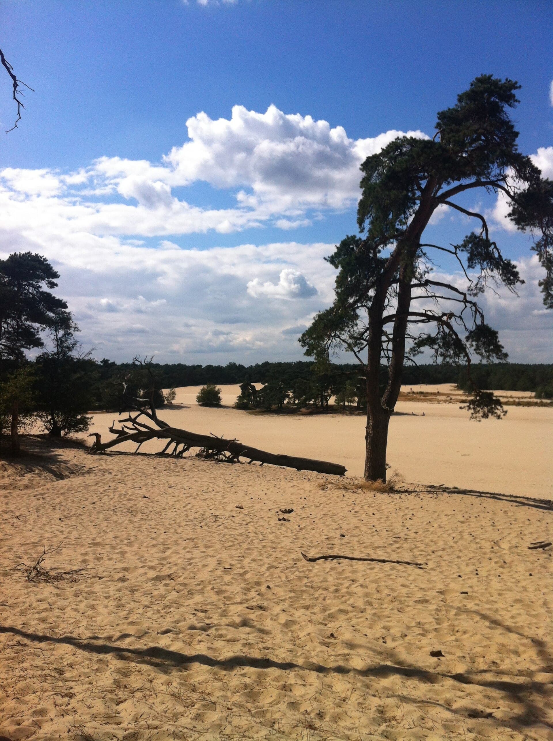 Vakantiepark Brabantse Duinen