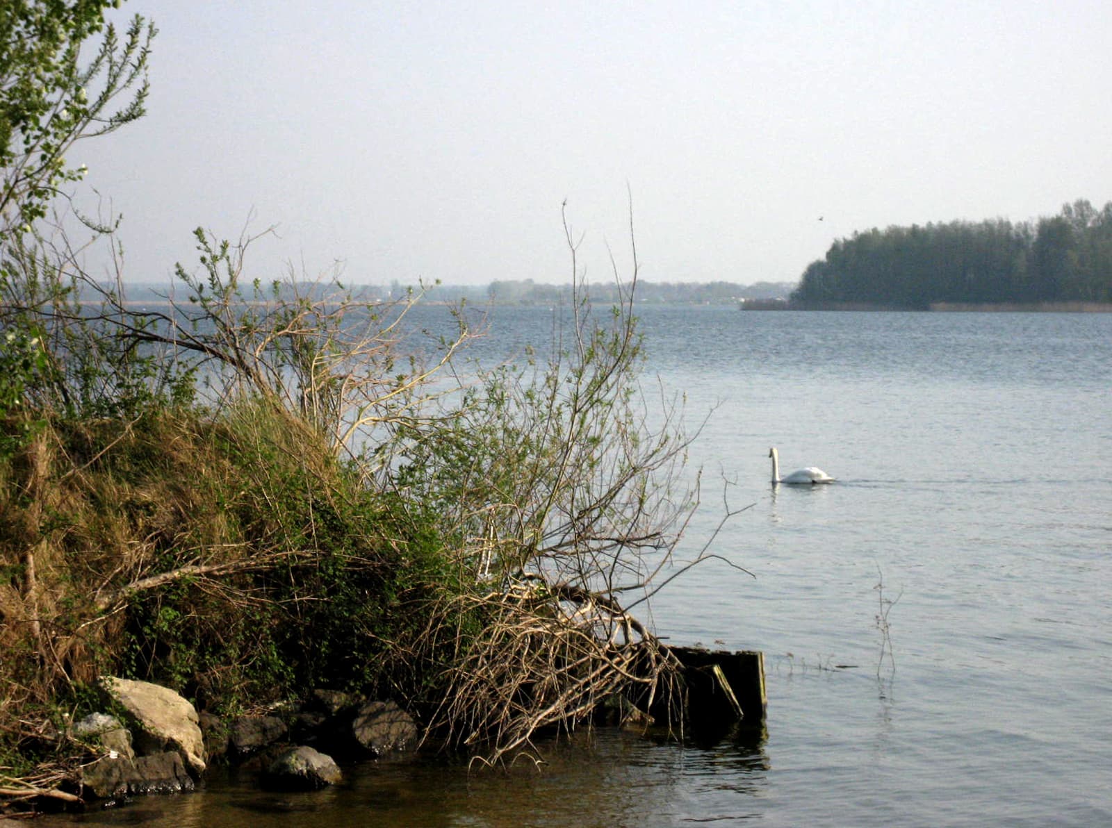 Vakantiepark Randmeren Flevoland