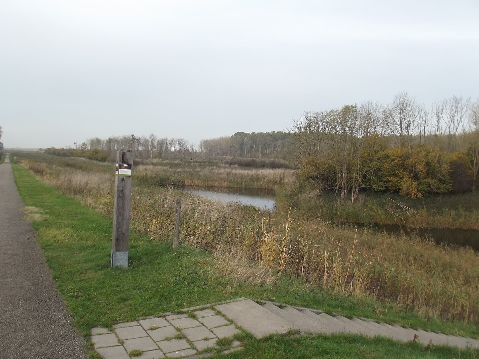 Noordoostpolder en windmolens fietsroute