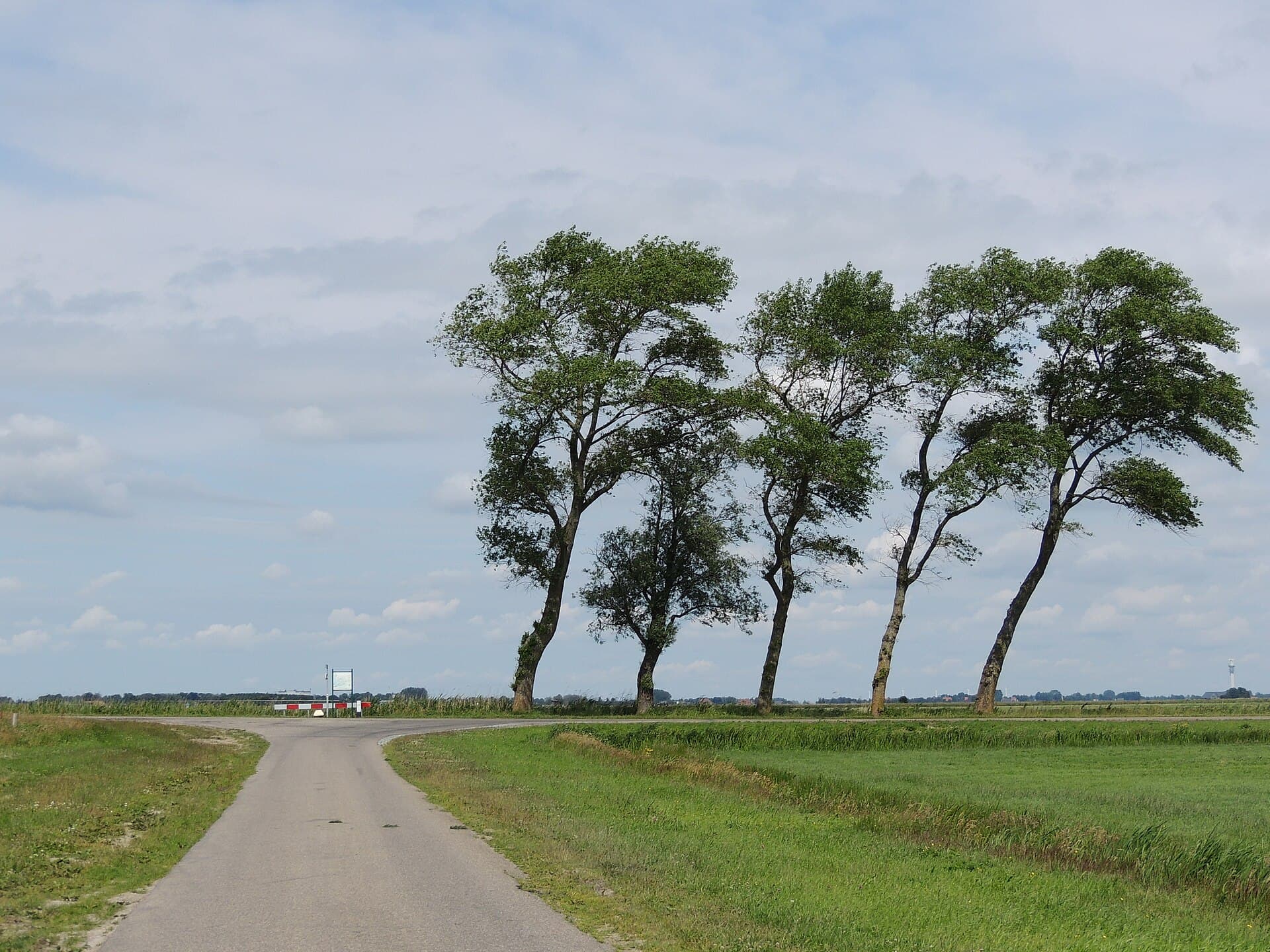 Landschap in Friesland