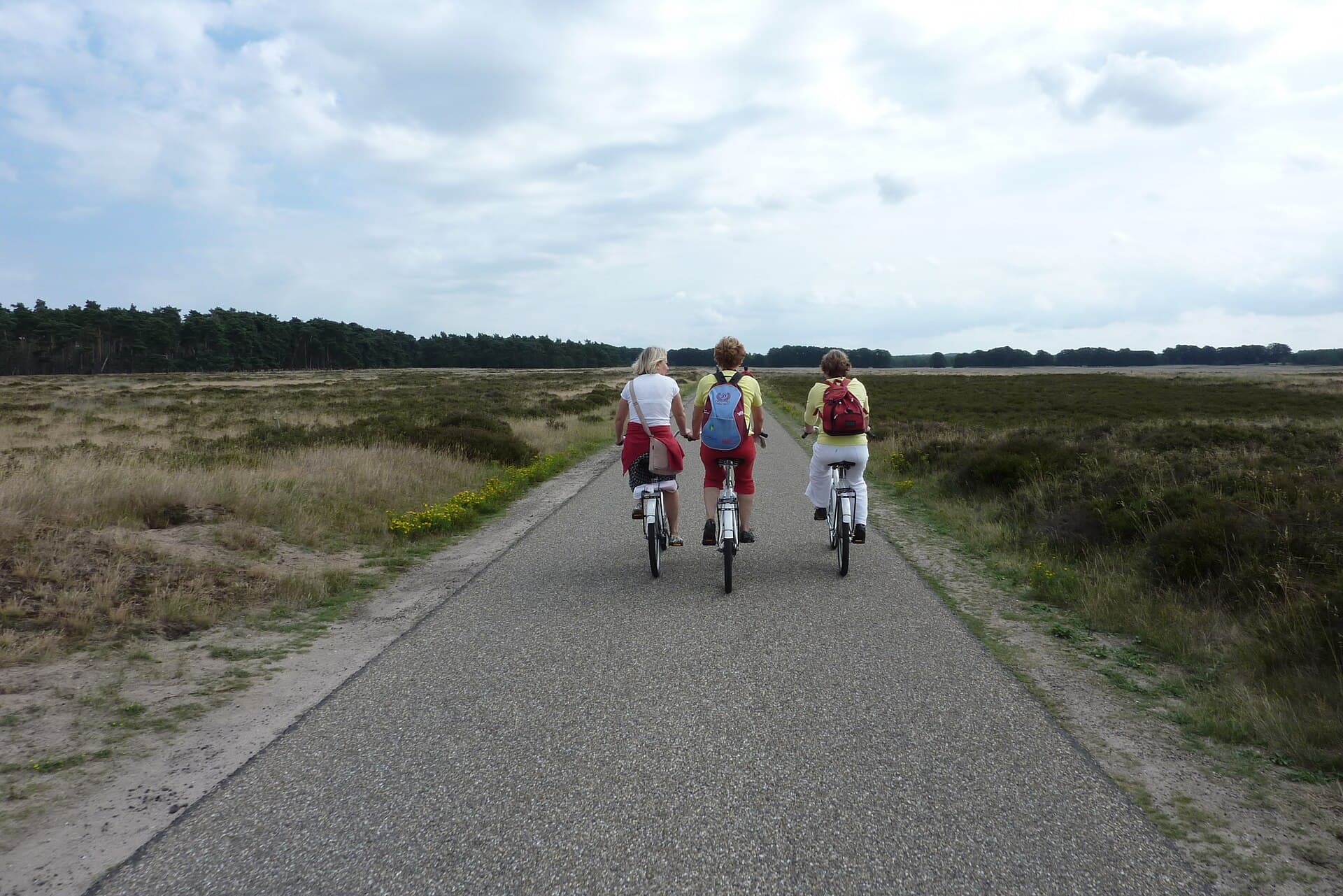 Veluwezoom bos- en heideroute