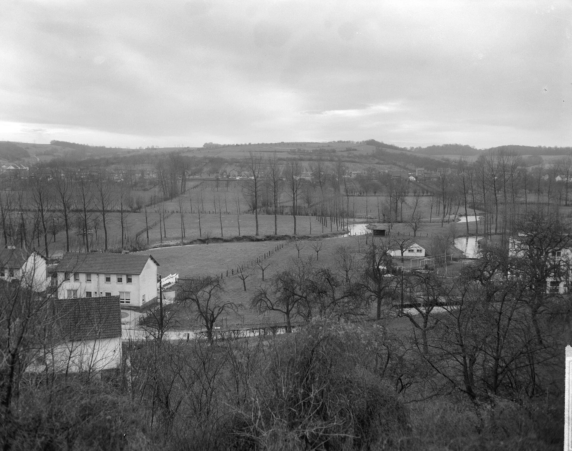 Landschap in Limburg