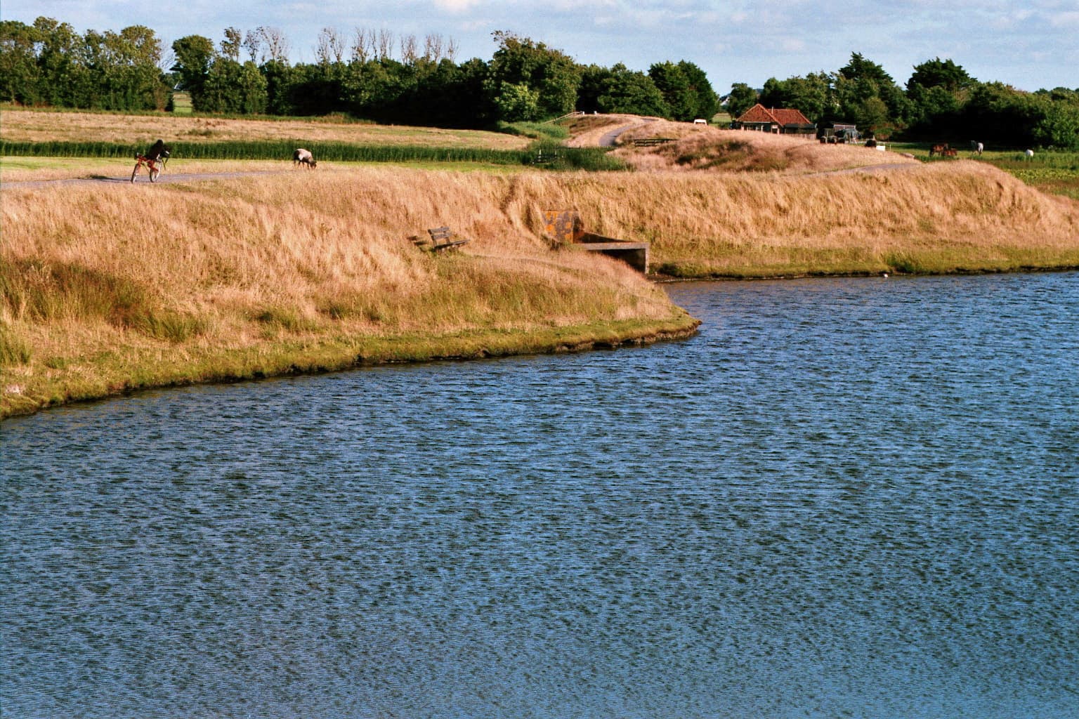 Texel duinenwandeling