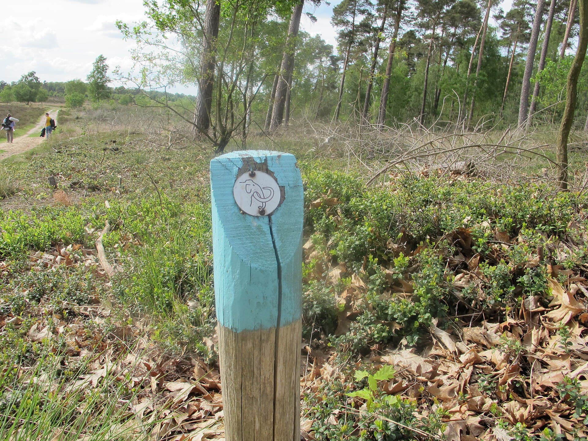 Hanze en IJssel fietsronde