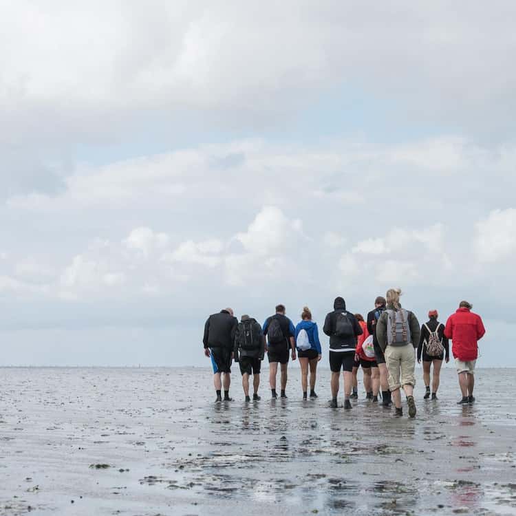 Begeleide wandeltour Waddenzee vanuit Paesens-Moddergat