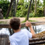 Toegangsticket voor Koninklijke Burgers' Zoo in Arnhem