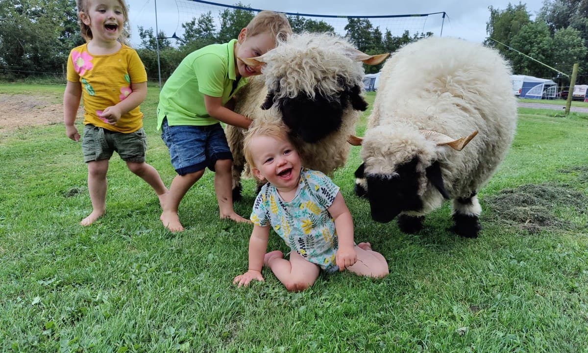 Genieten op Vakantiepark de Toffe Peer in Drenthe
