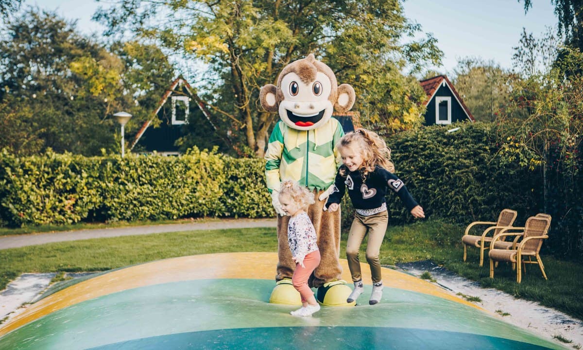 Vakantie vieren op Camping 't Hooge Holt in Overijssel