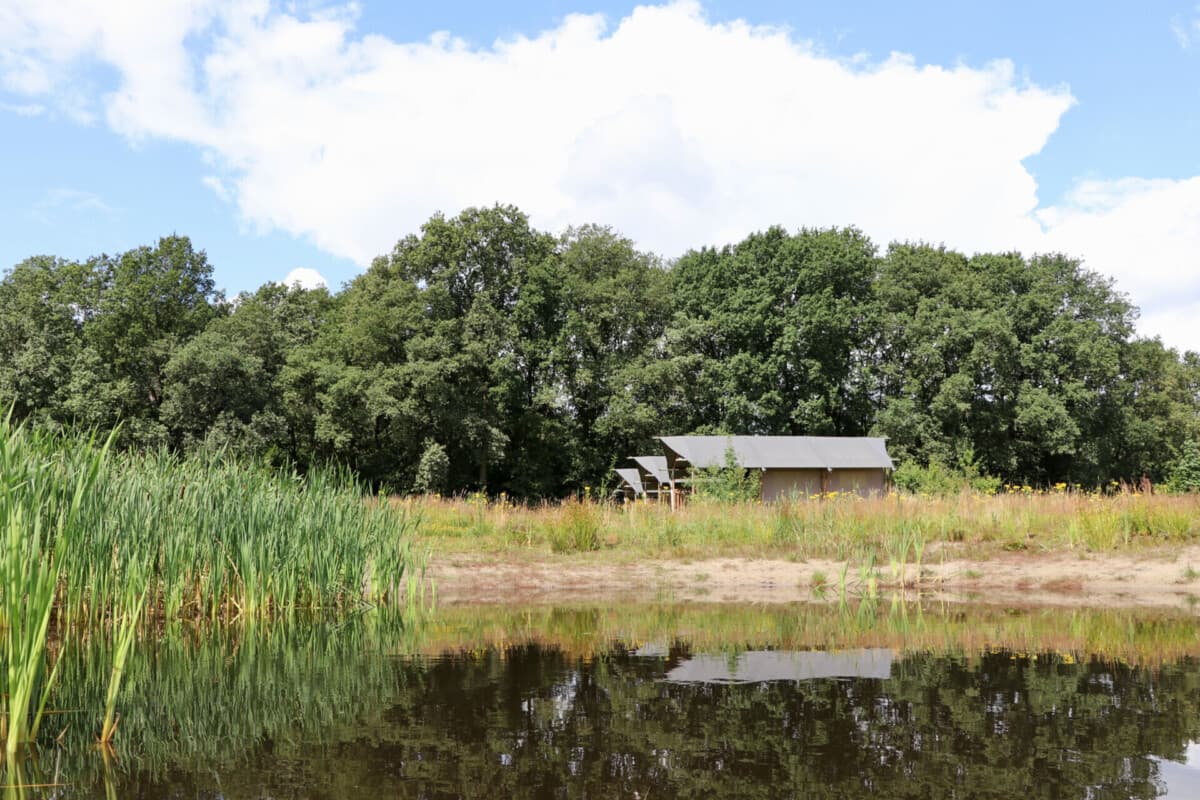 Comfortabele Safari tent op Camping De Heerlijkheid