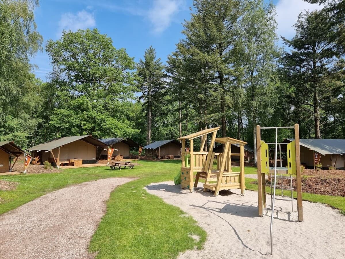 Safaritent op Camping het Horstmannsbos in Gasselte